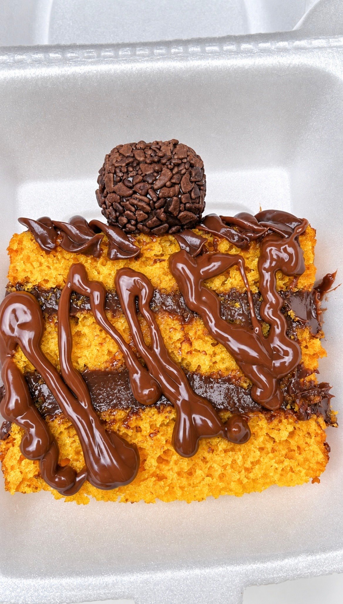 Fatia de Bolo de Cenoura com Chocolate